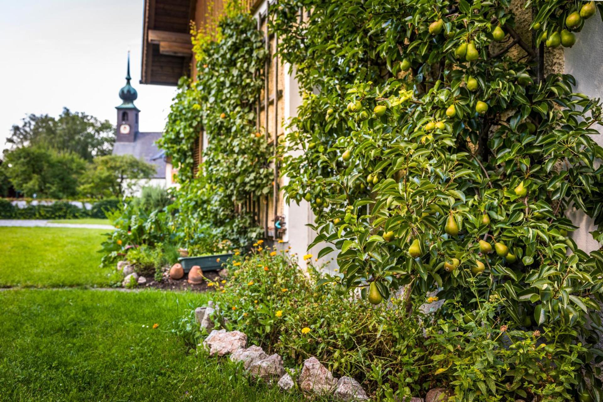 Landhaus Appartement Seidenwebergut Anif Bei Salzburg Niederalm Exterior foto